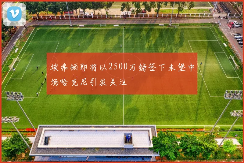 埃弗顿即将以2500万镑签下米堡中场哈克尼引发关注