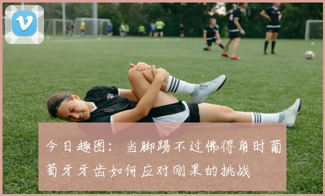 今日趣图：当脚踢不过佛得角时葡萄牙牙齿如何应对刚果的挑战