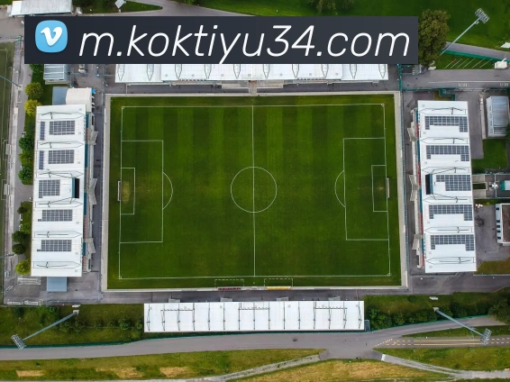 用户互动社区